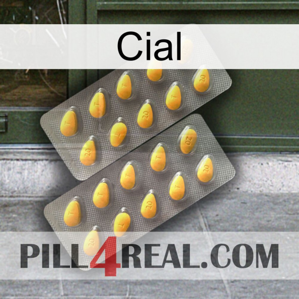 Cial cialis2.jpg